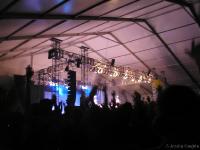 The Crowd Goes Wild